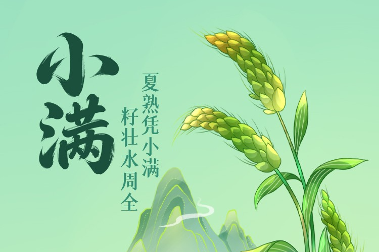 列表图