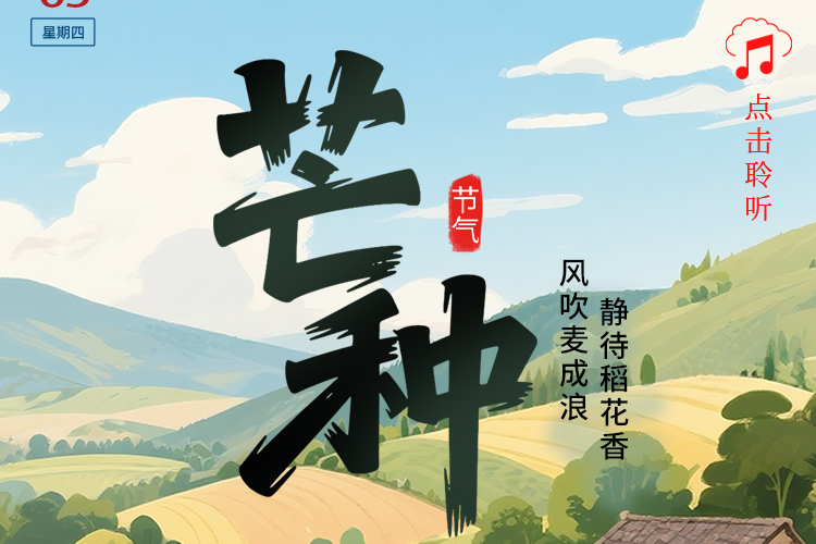列表图