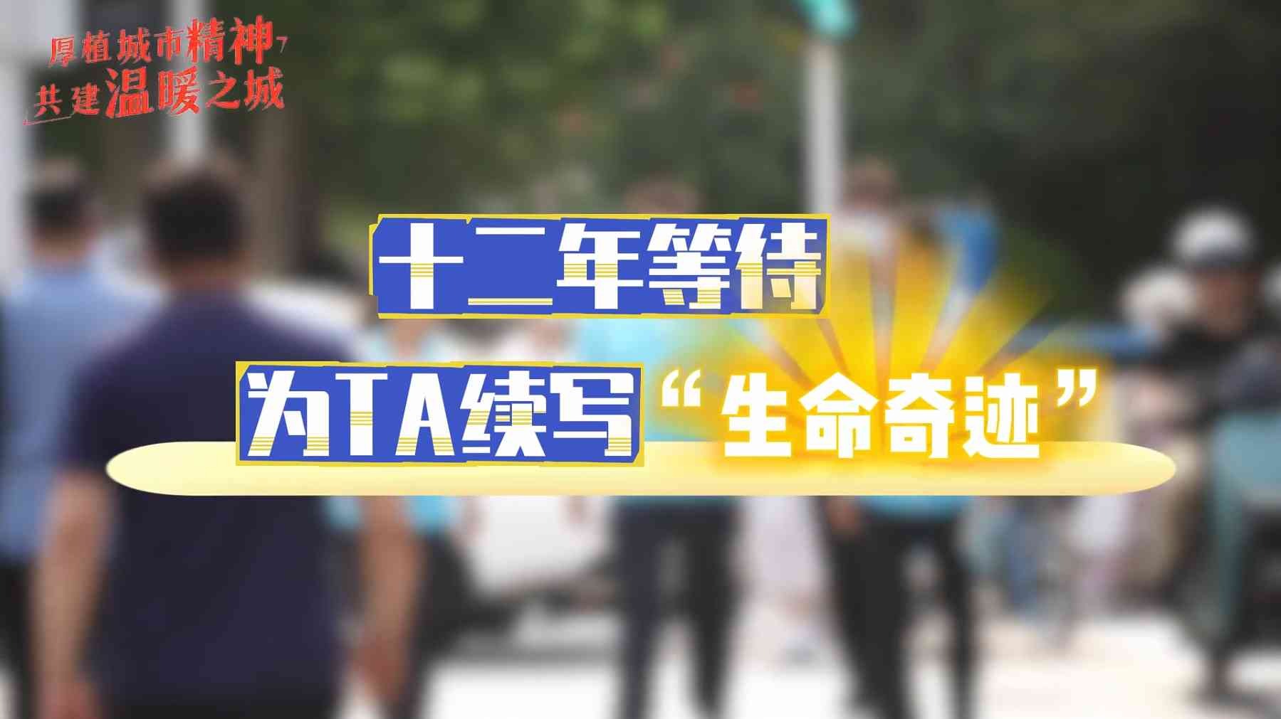 列表图