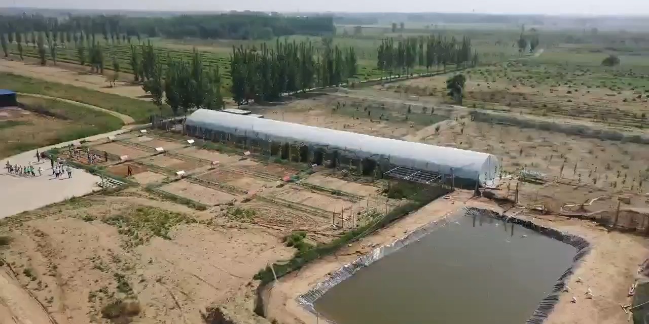 列表图