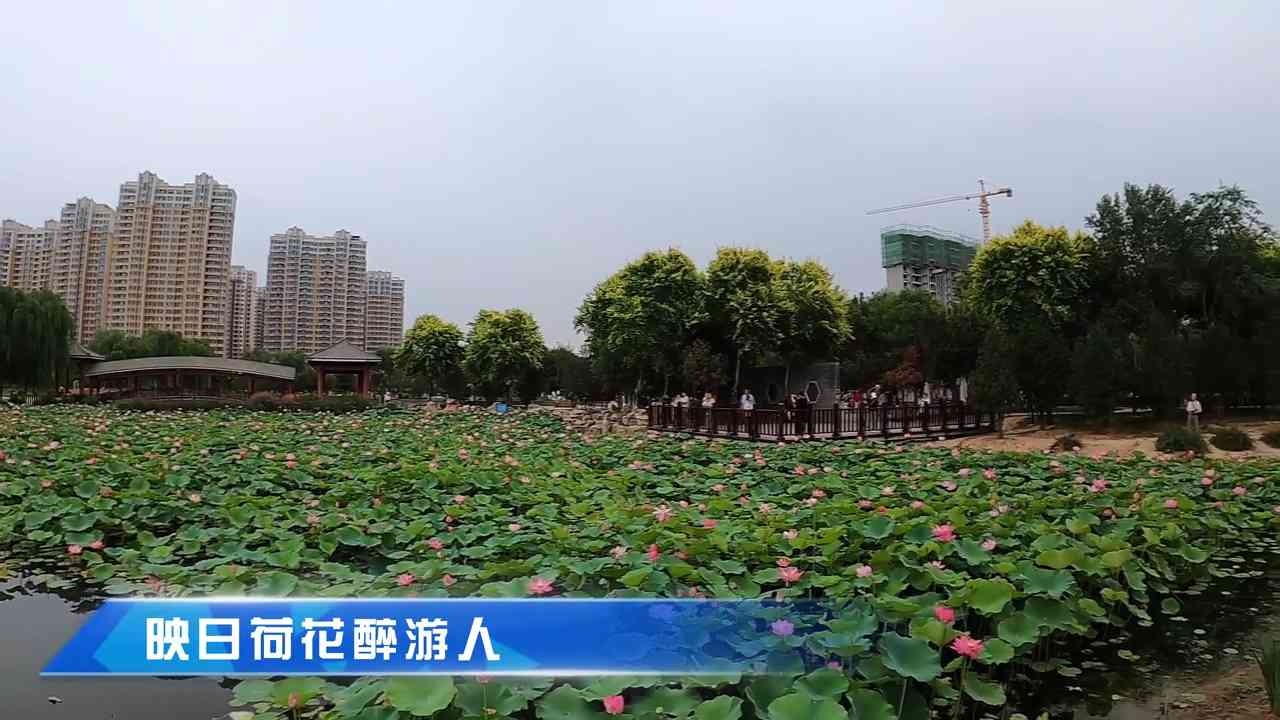 列表图