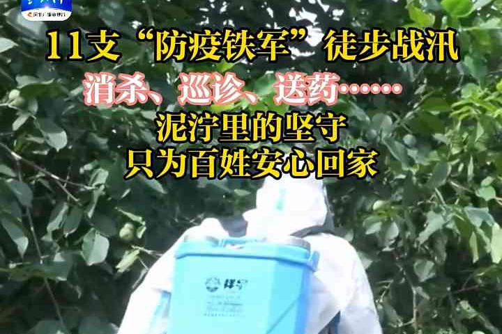 列表图