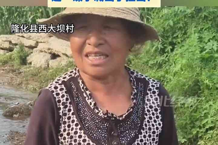 列表图