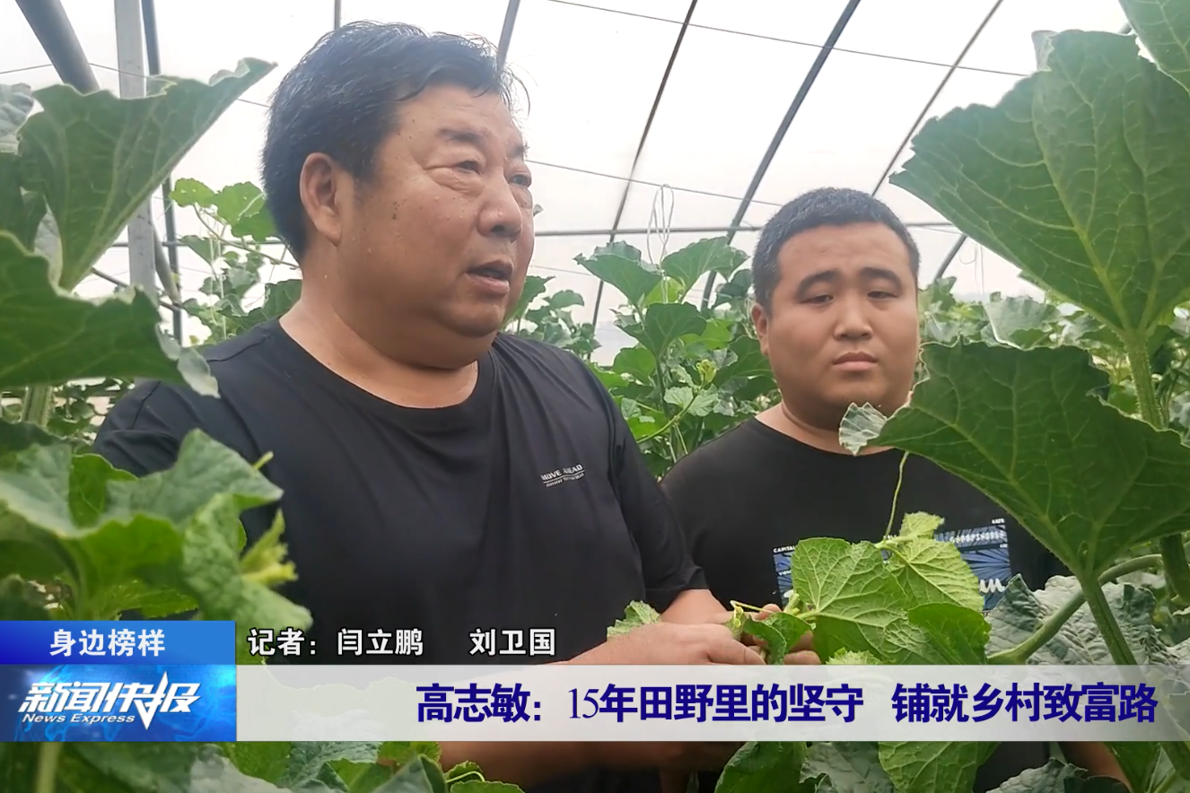列表图