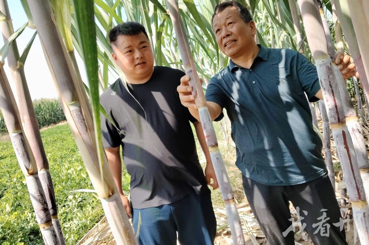 列表图