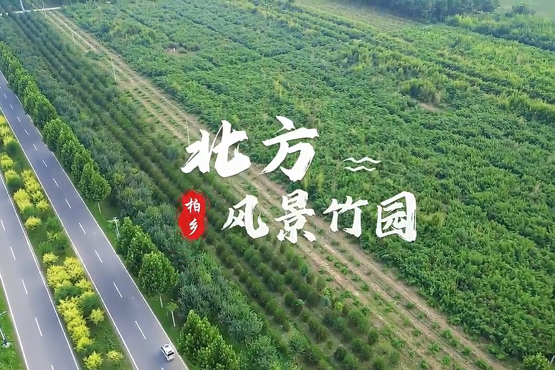 列表图
