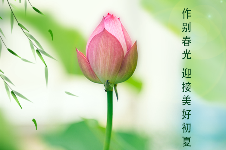列表图