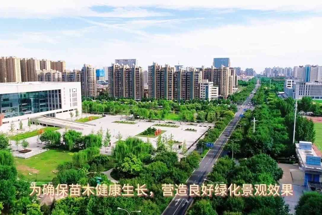 列表图