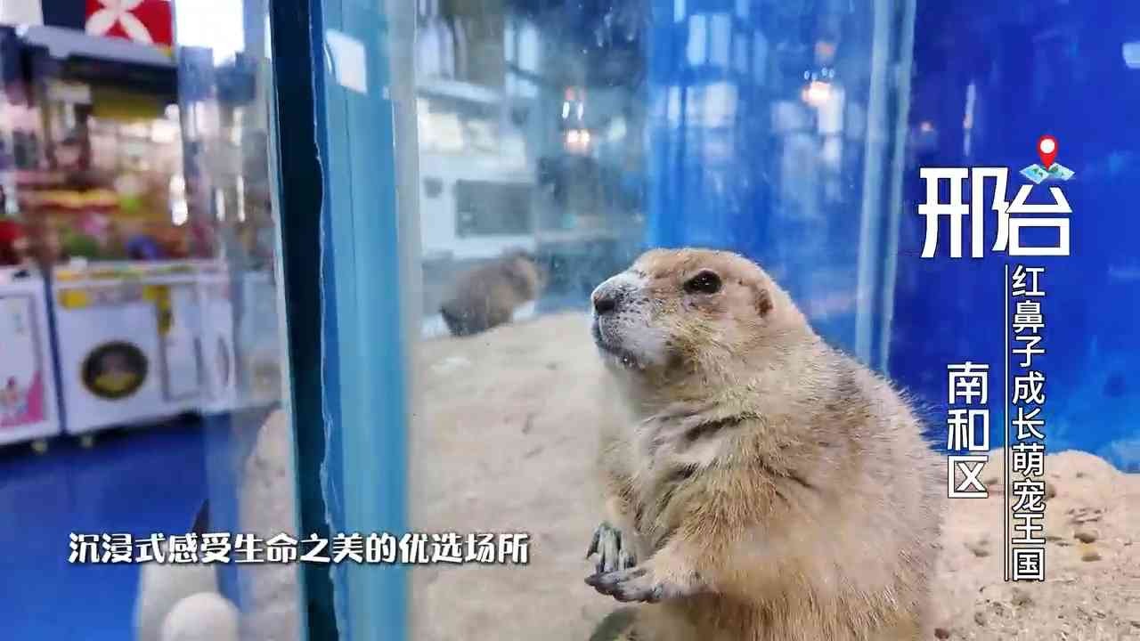 列表图