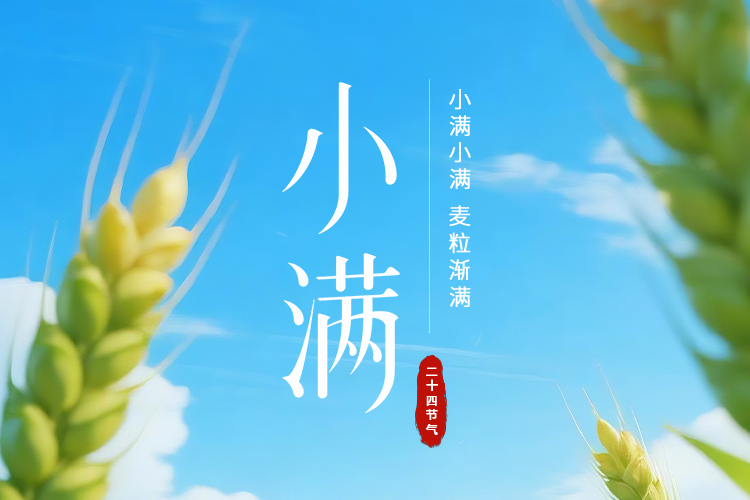 列表图