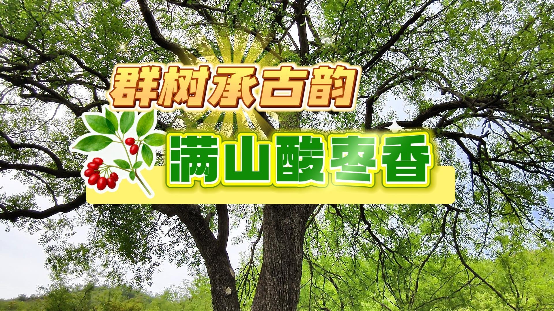 列表图