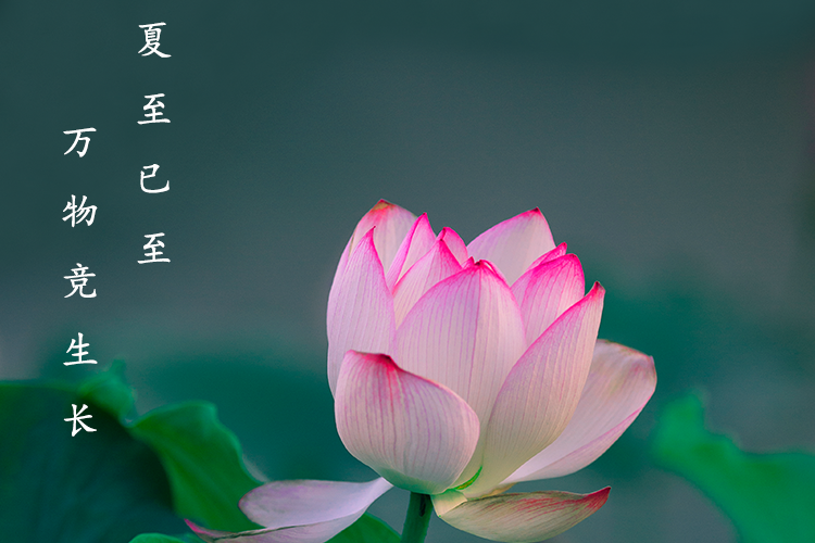 列表图