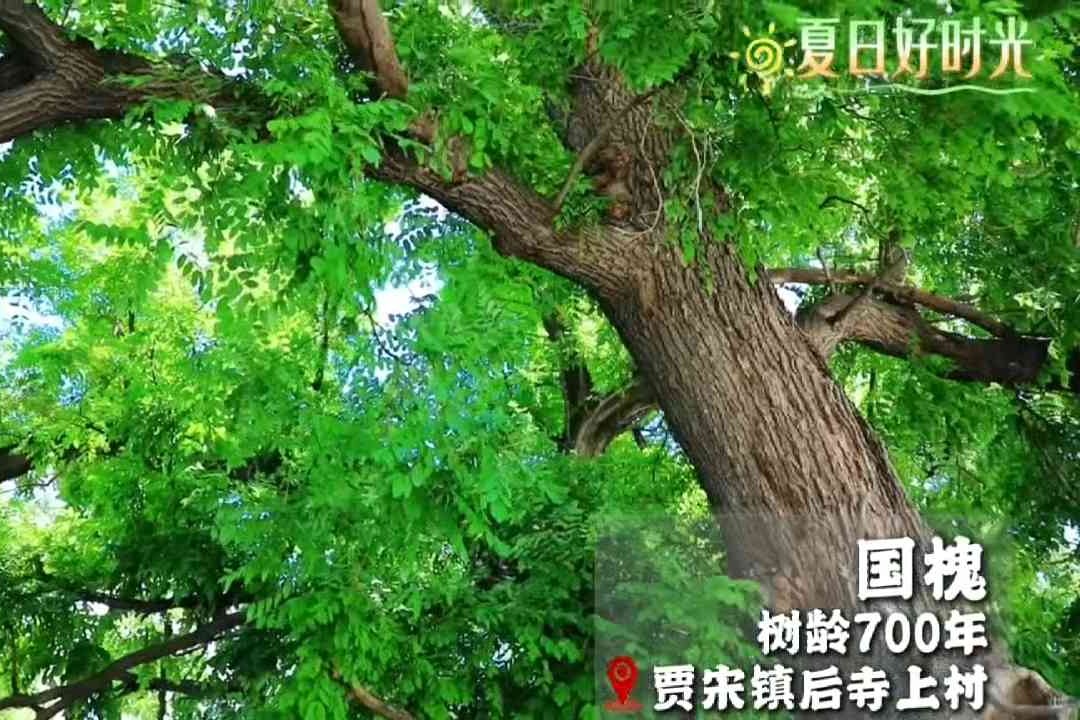 列表图