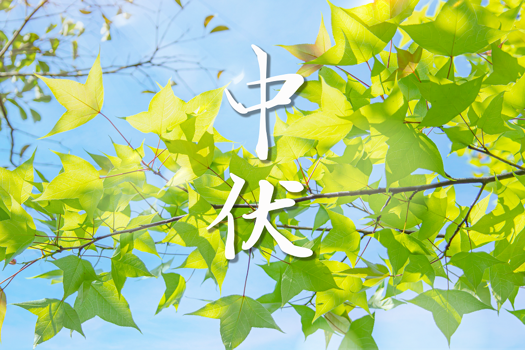 列表图