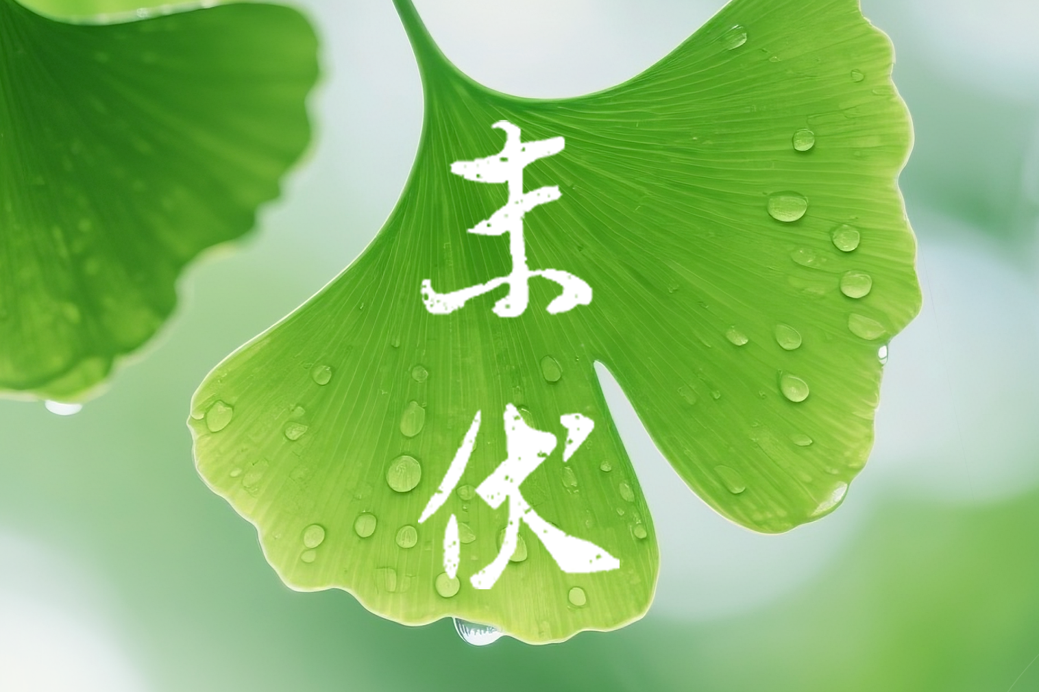 列表图