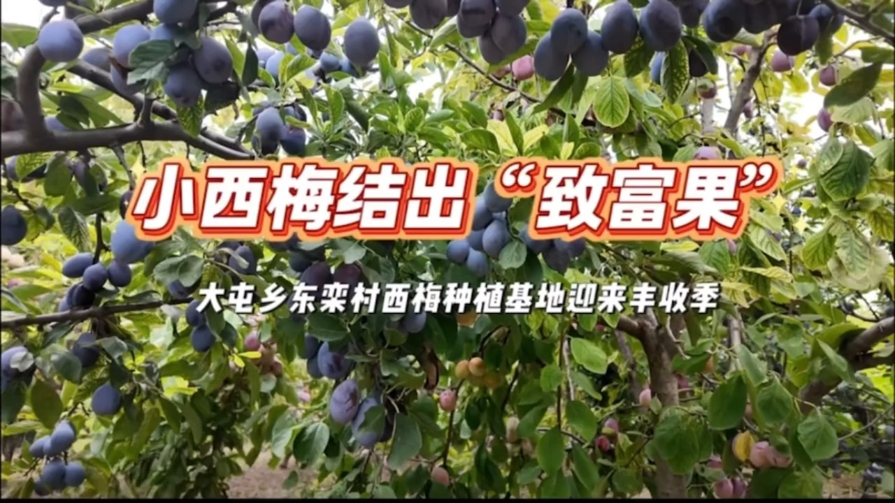 列表图