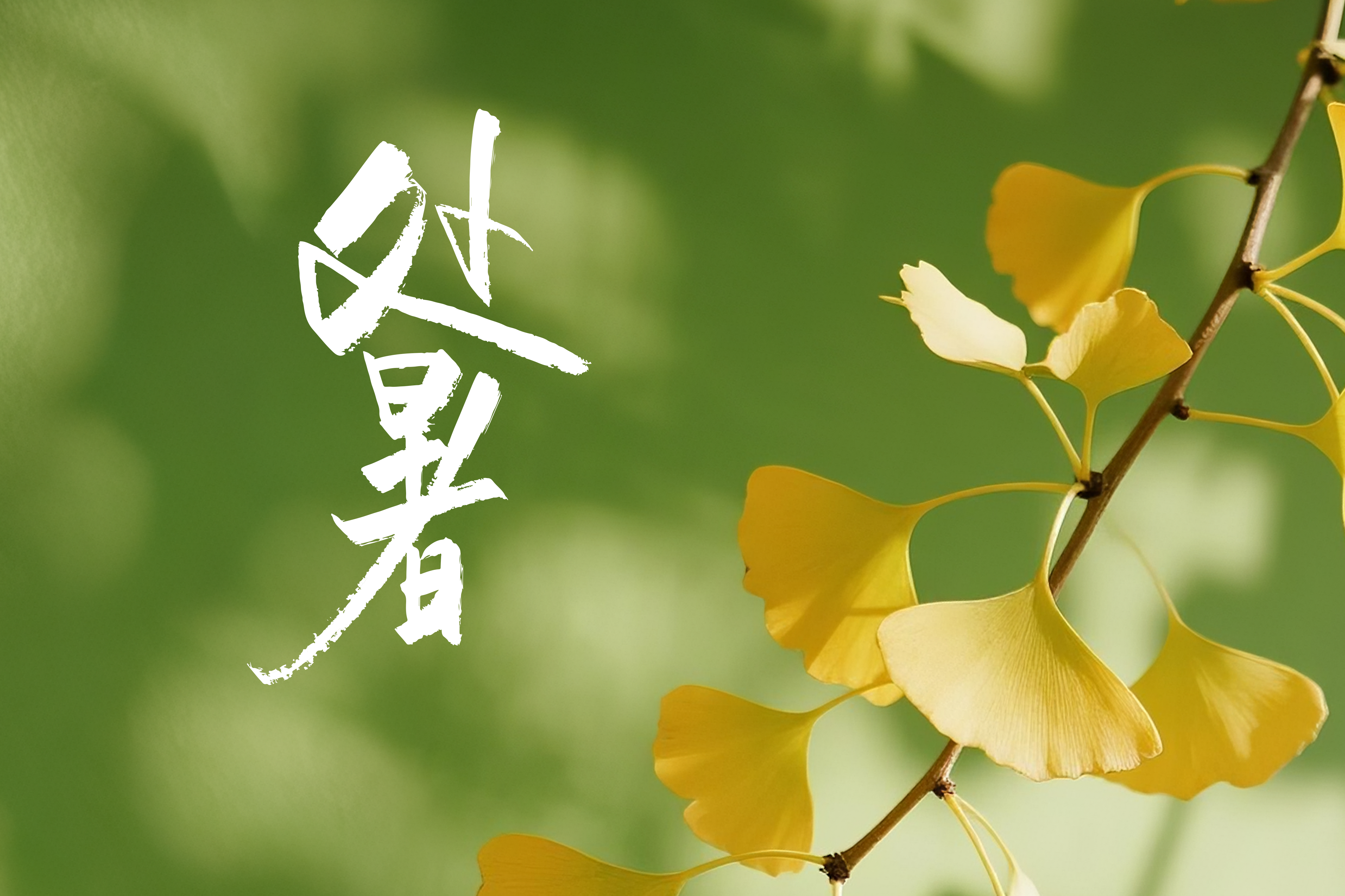 列表图