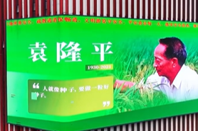 列表图
