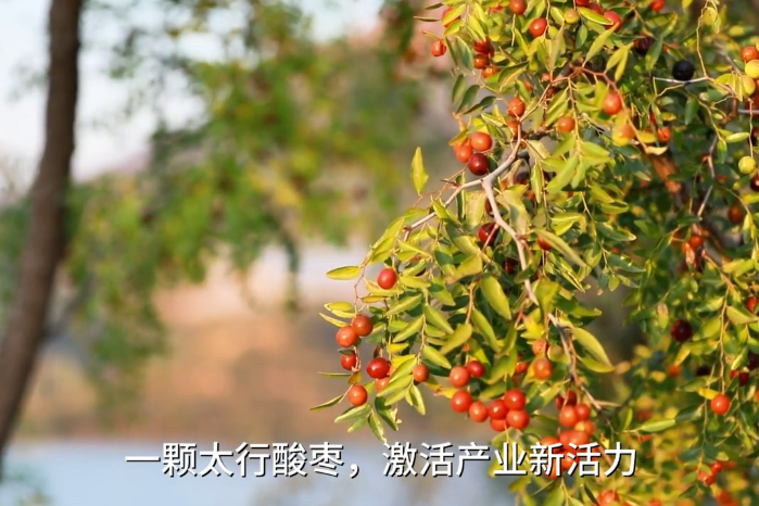 列表图