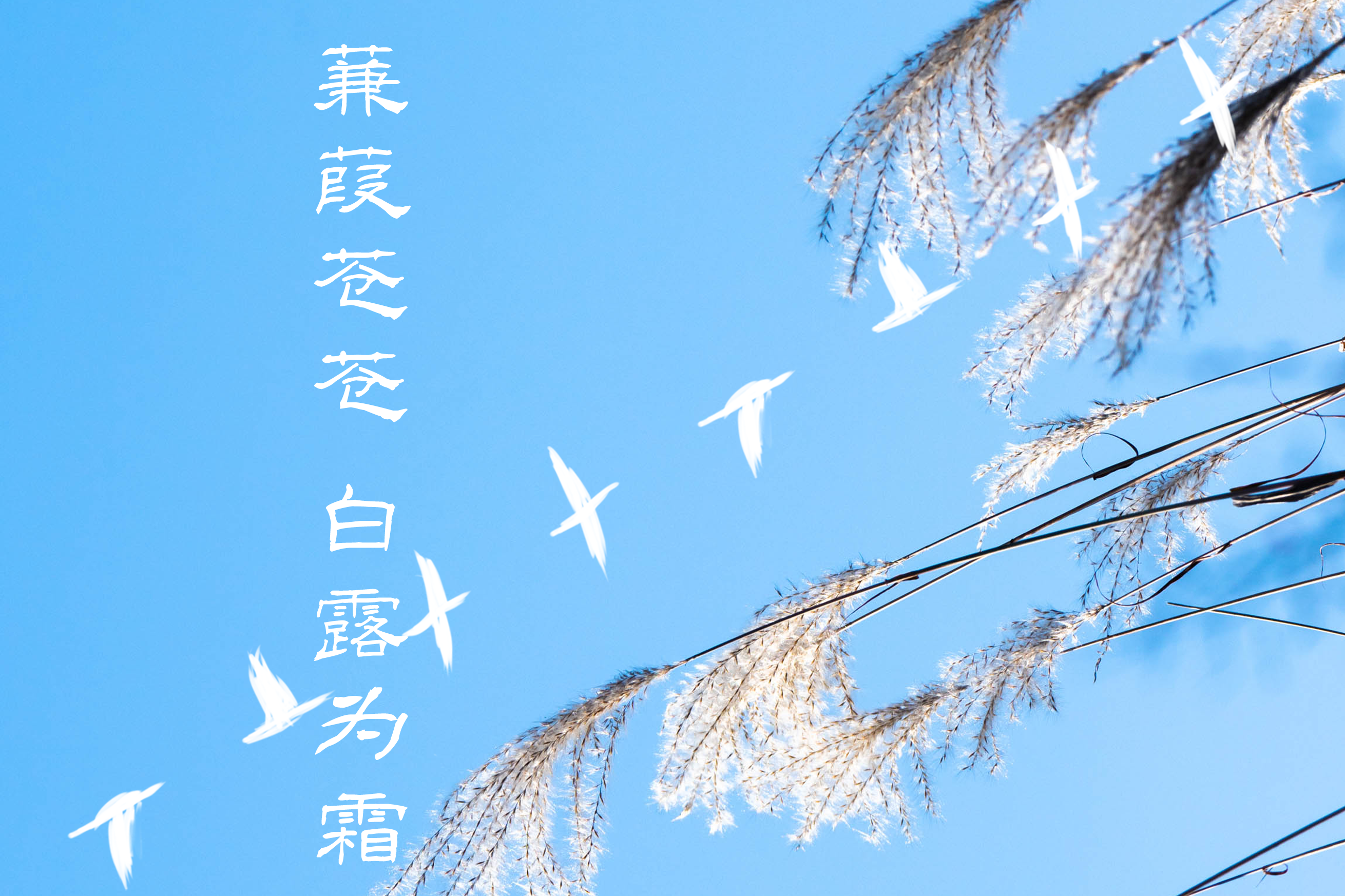 列表图