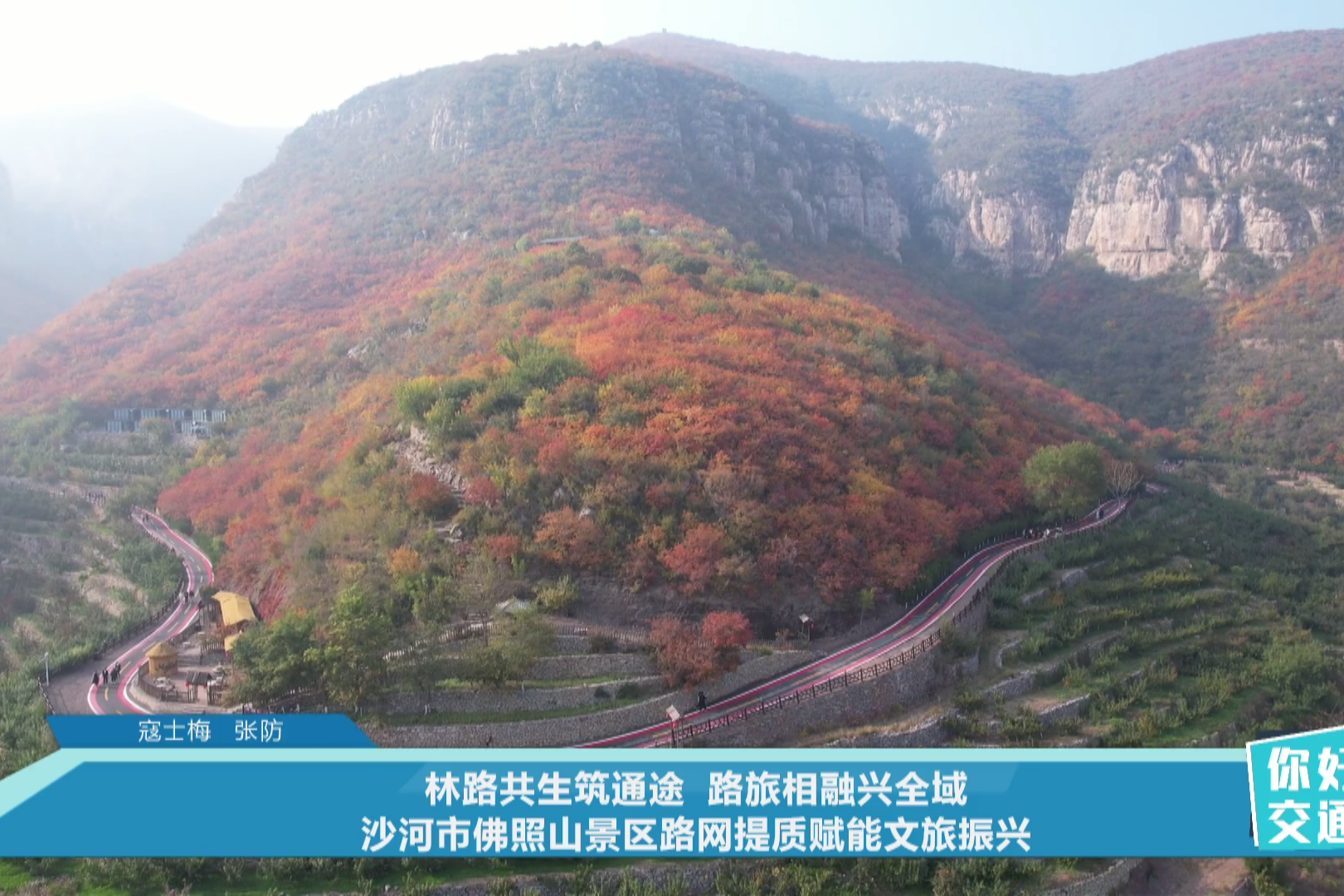 列表图