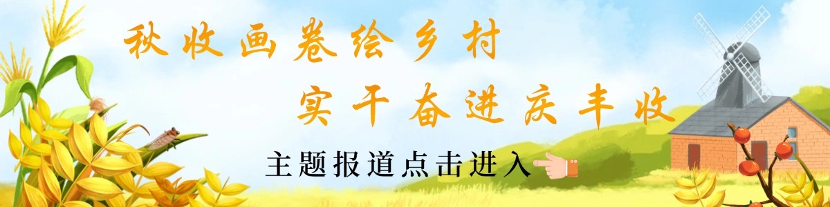 列表图